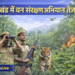 उत्तराखंड में वन संरक्षण अभियान तेज, जंगलों की सुरक्षा के लिए सख्त कदम