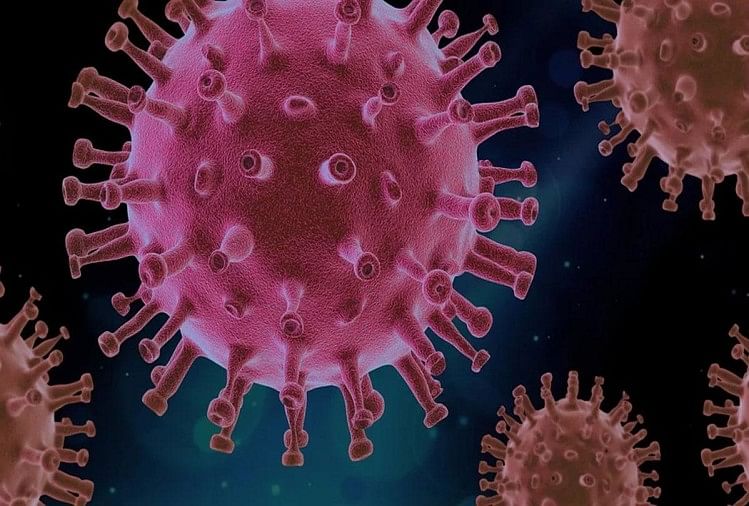 new strain of corona virus found in roof person